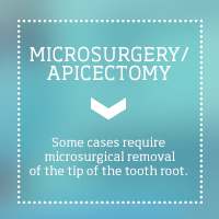 Microsurgery_Apicectomy